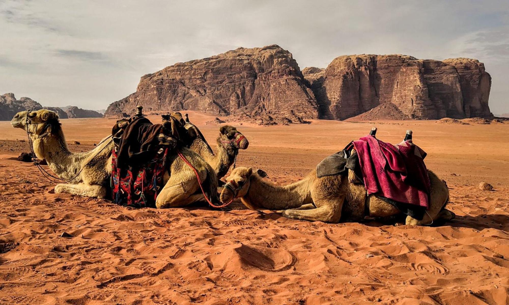 Wadi Rum Caeser Camp Hotel Exterior foto